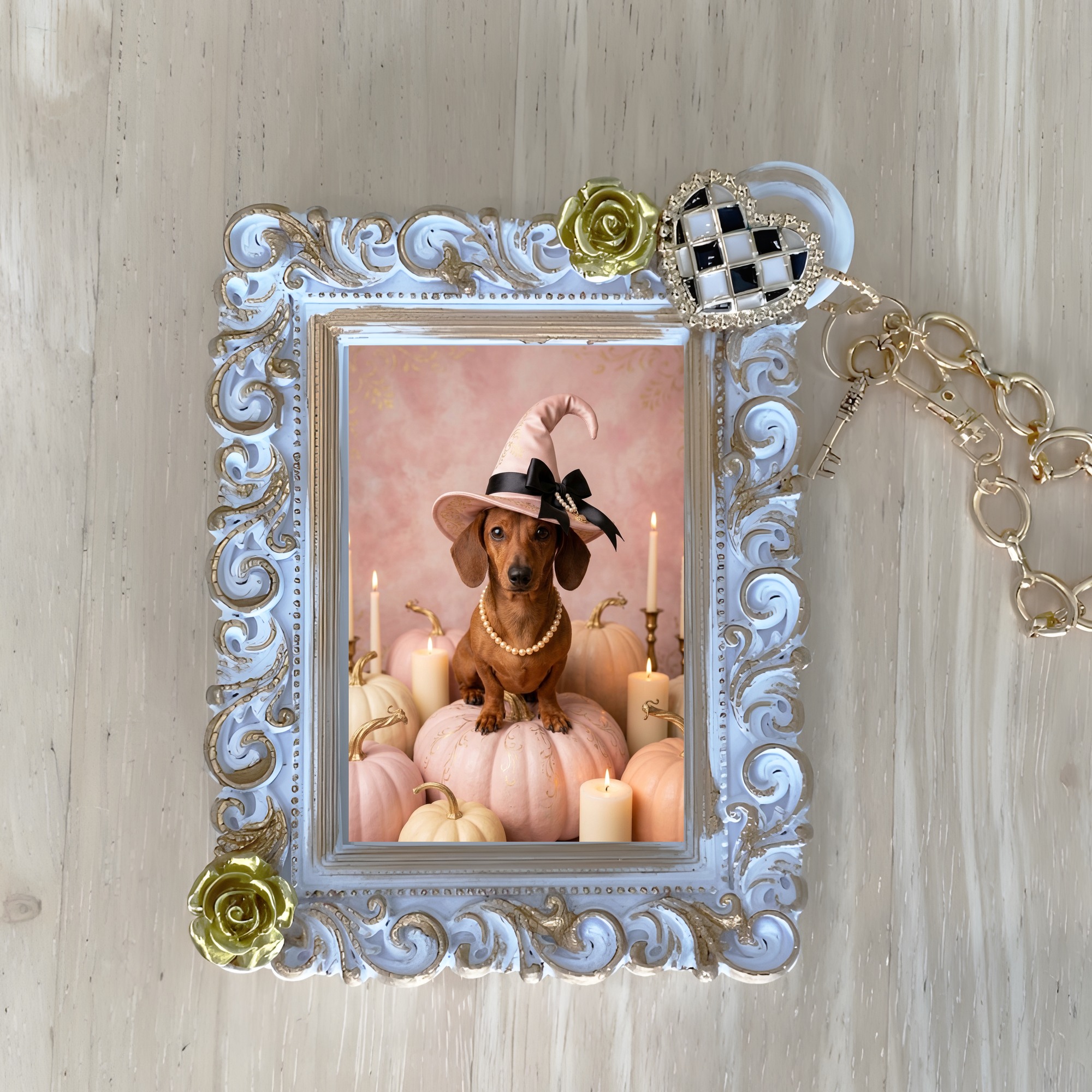 miniature dachshund Dog — photo 1