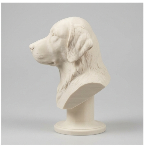 golden retriever Dog — photo 4