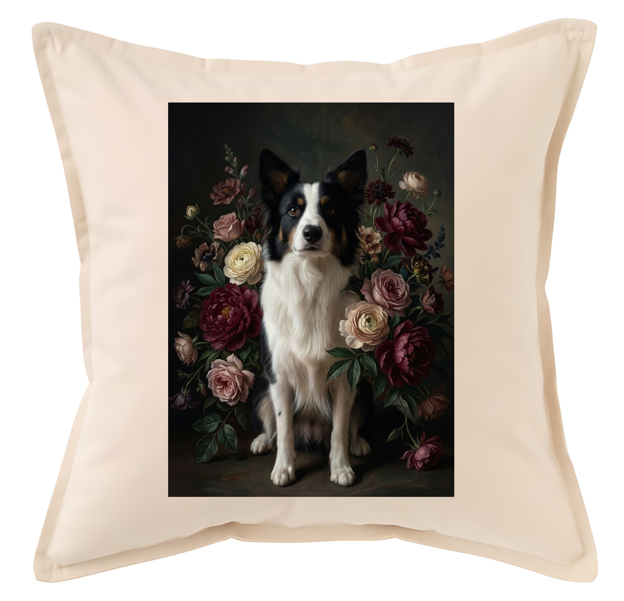 border collie Dog — photo 1