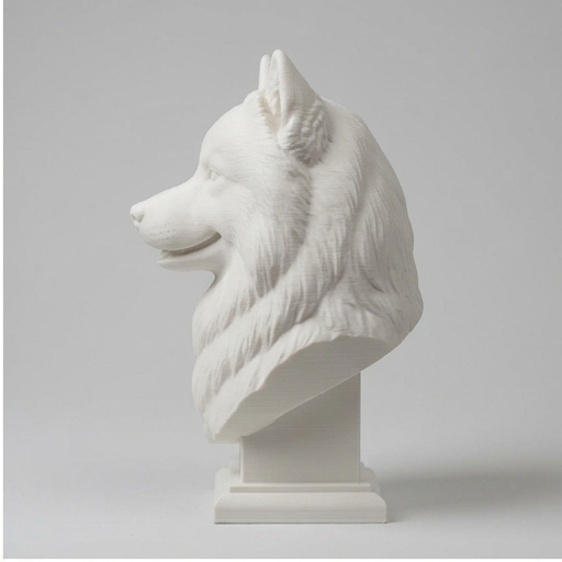 Samoyed Dog — photo 4