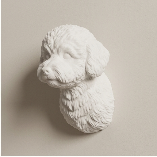 bichon frise Dog — photo 2