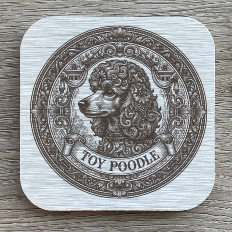 toy poodle Dog — photo 1