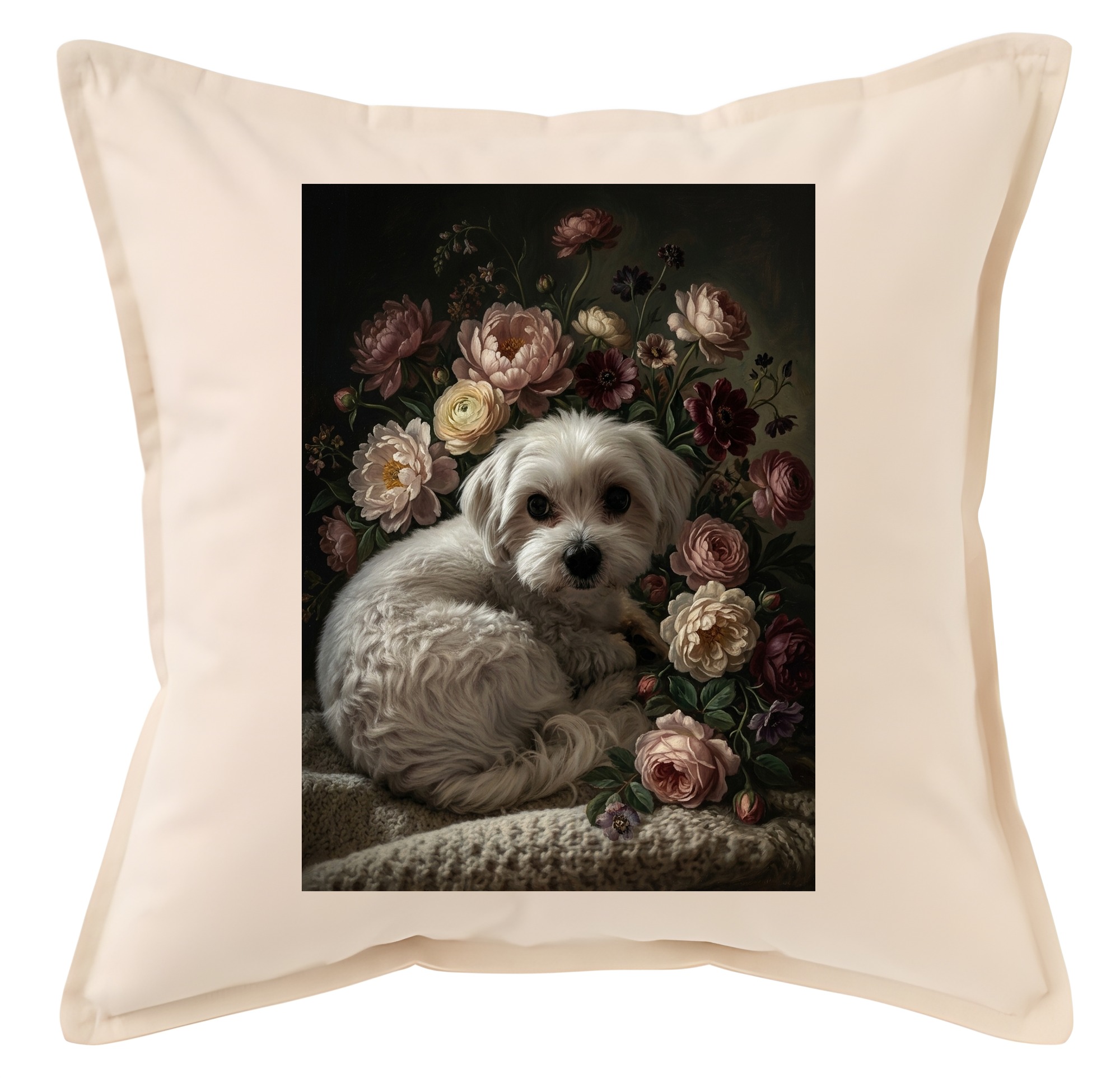 Maltese Dog — photo 1