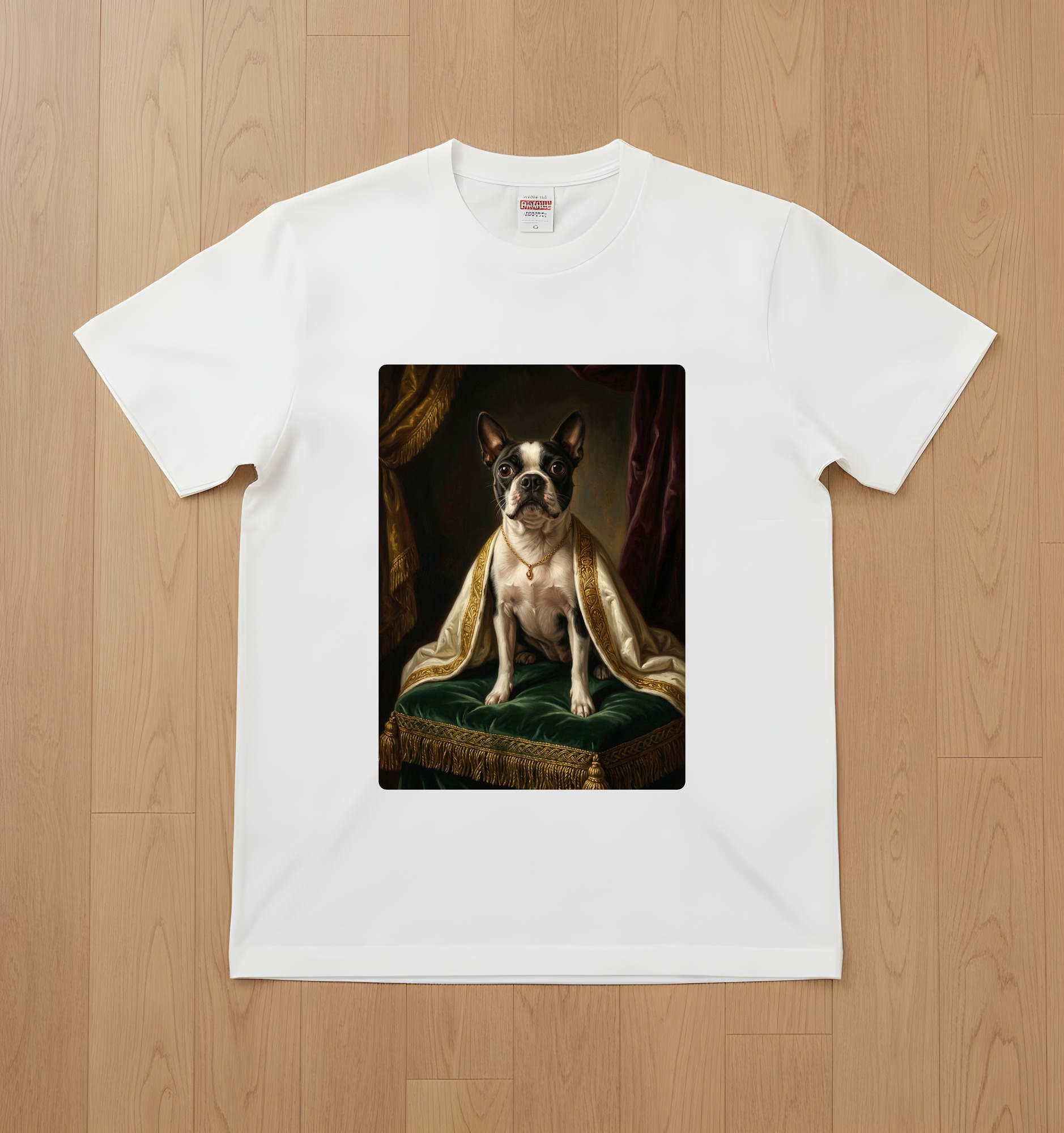 Boston terrier Dog — photo 1
