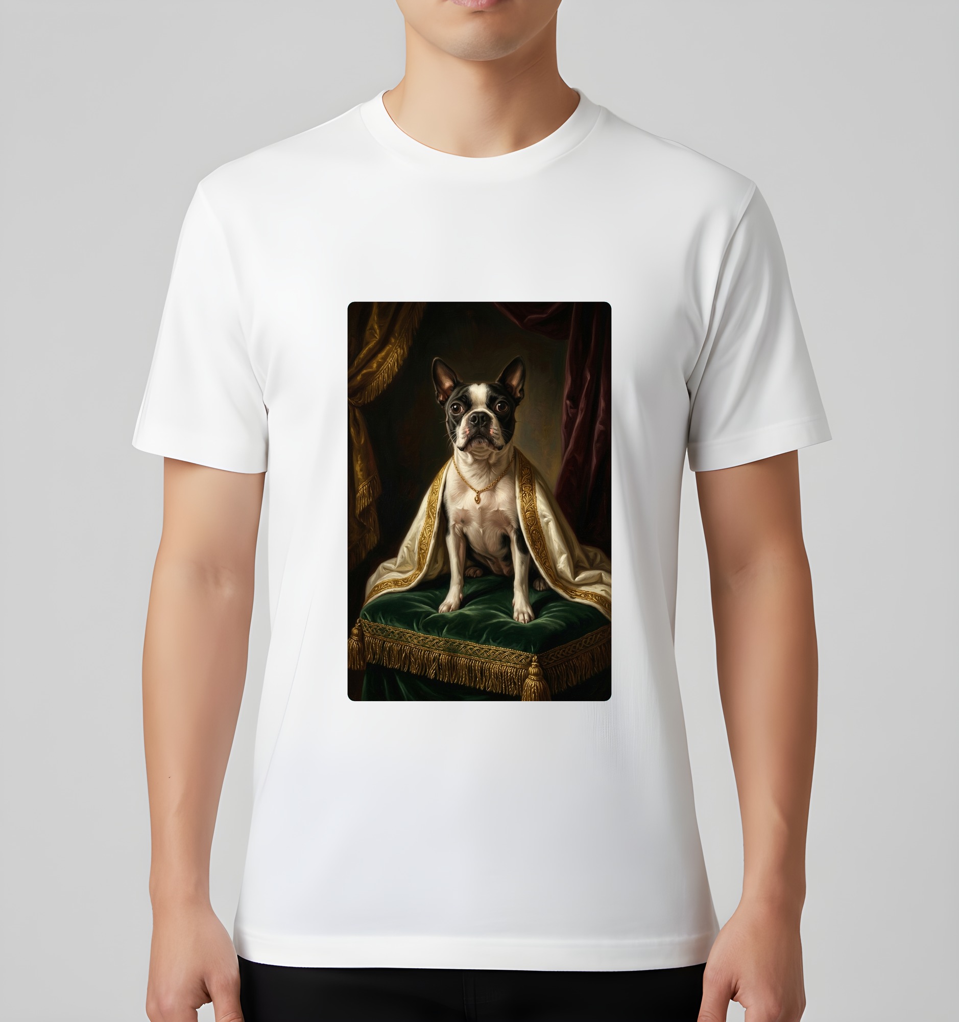 Boston terrier Dog — photo 3