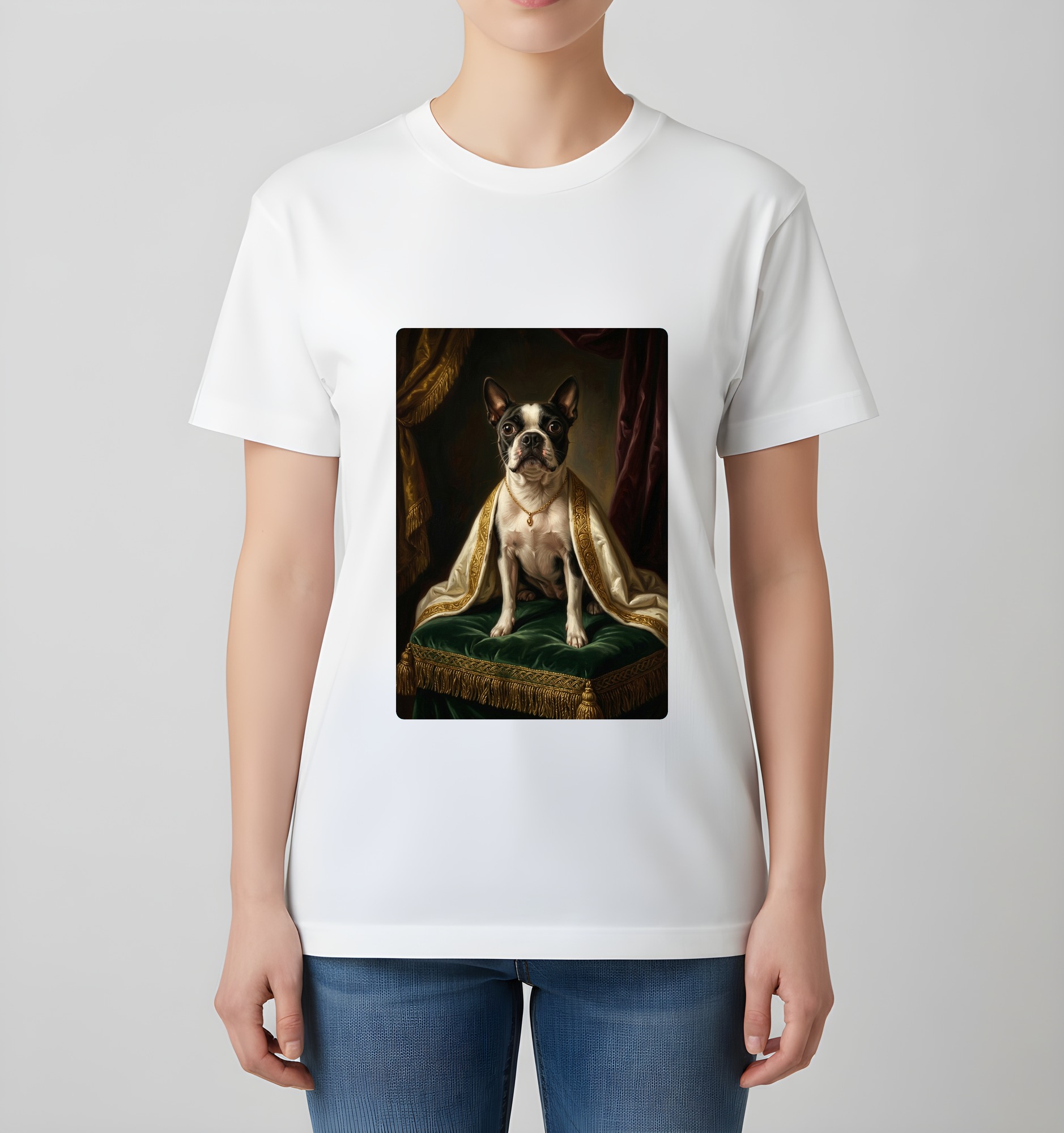 Boston terrier Dog — photo 4