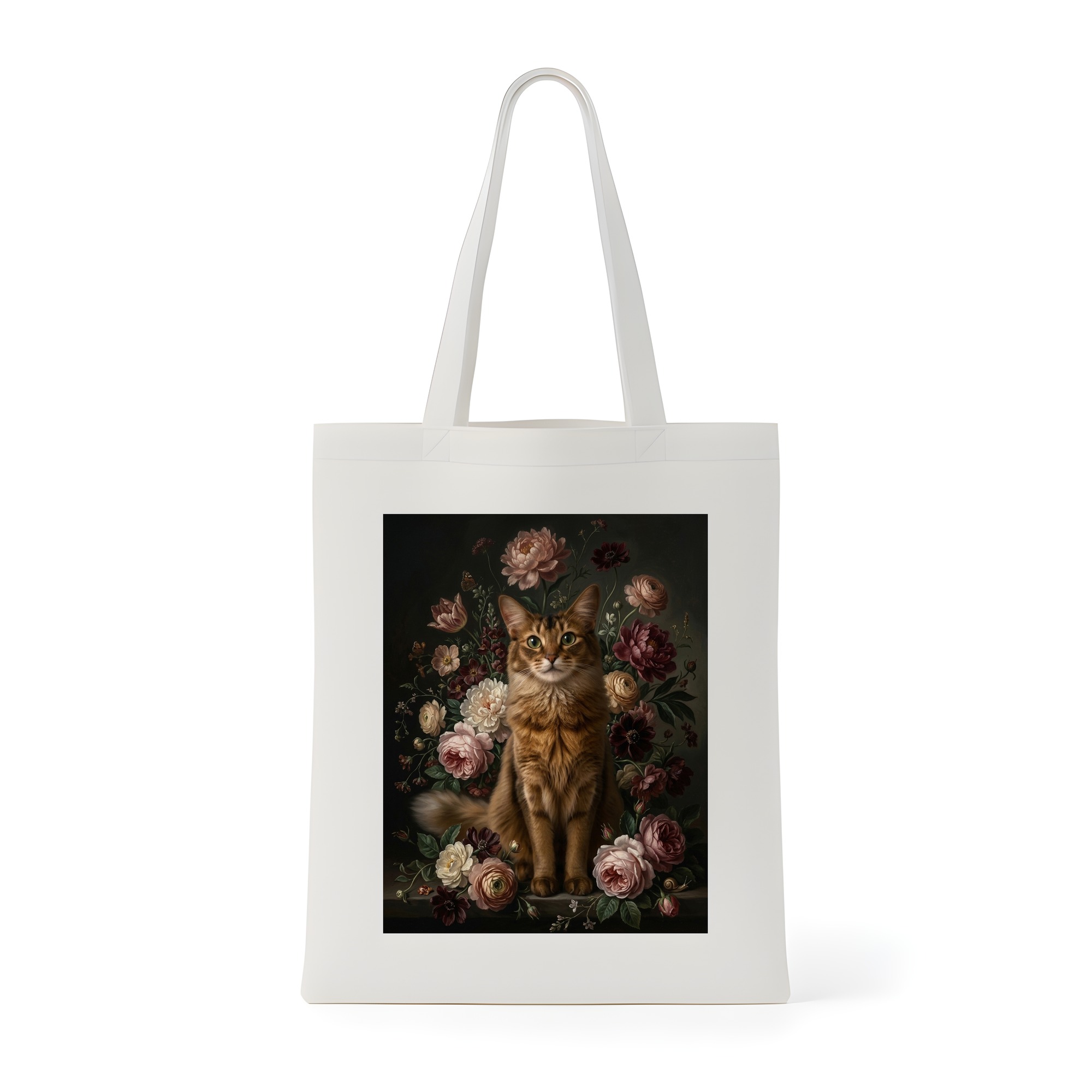 Somali Cat — photo 1