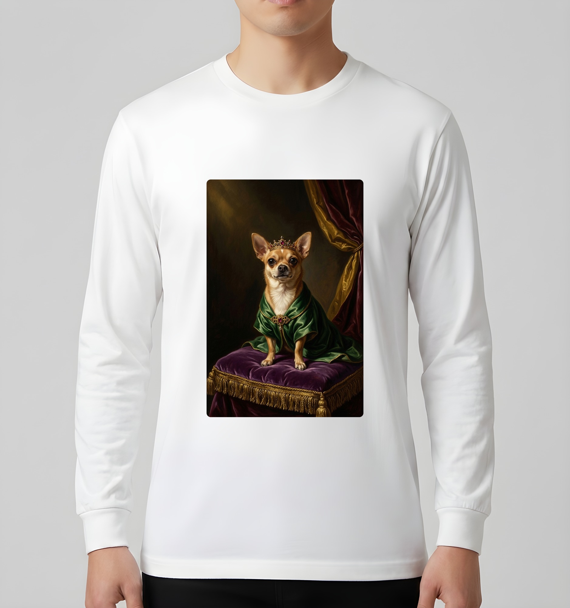 chihuahua Dog — photo 3
