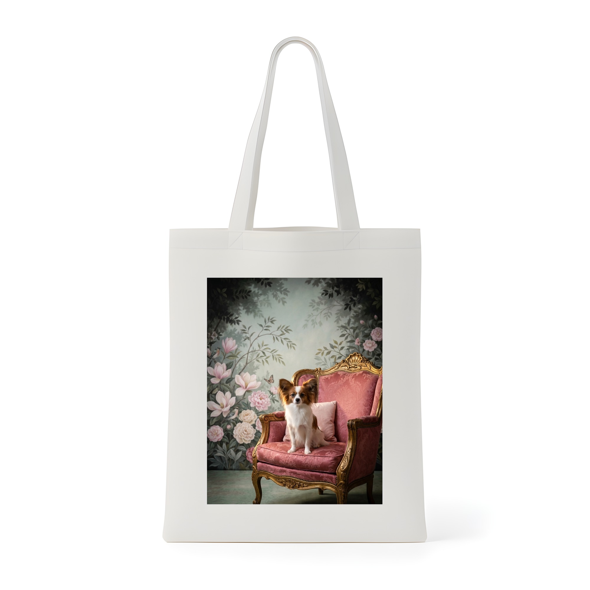 papillon Dog — photo 1
