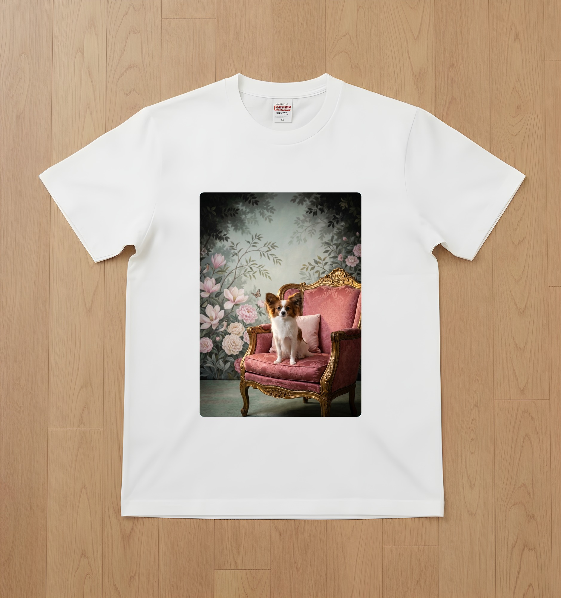 papillon Dog — photo 1