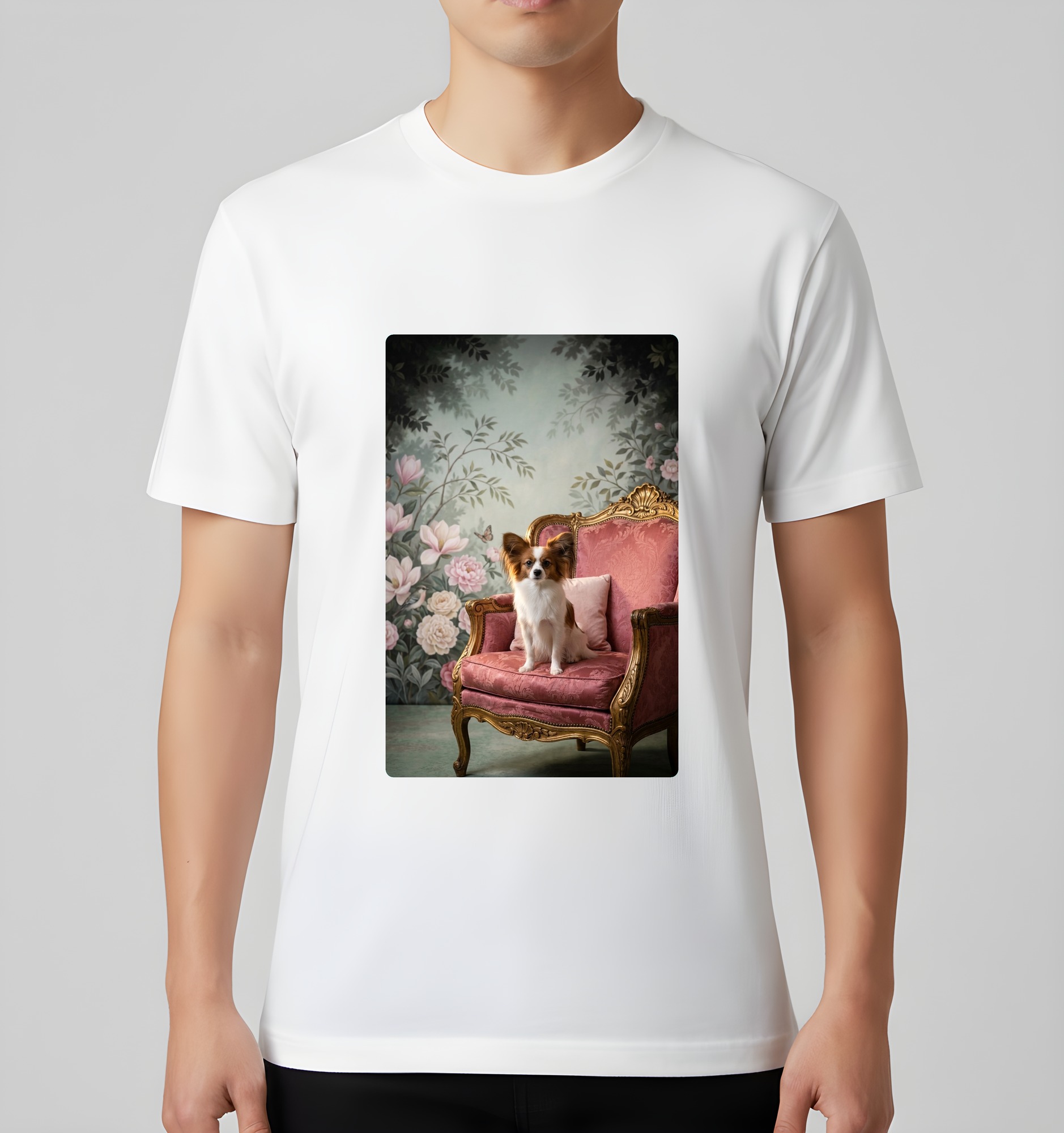 papillon Dog — photo 3