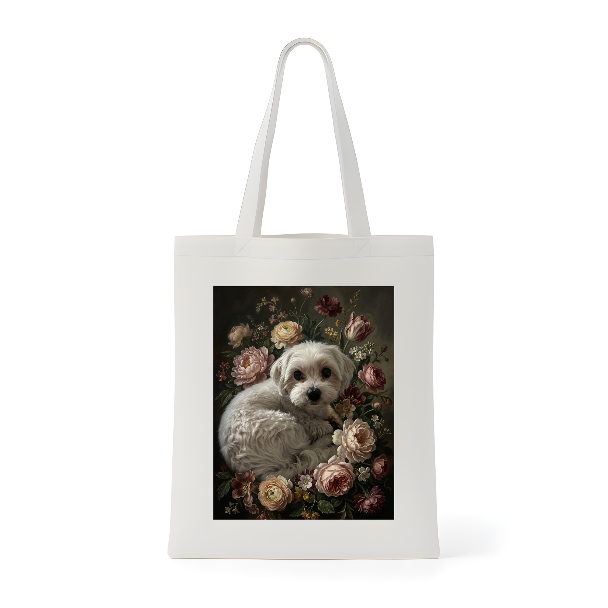 Maltese Dog — photo 1