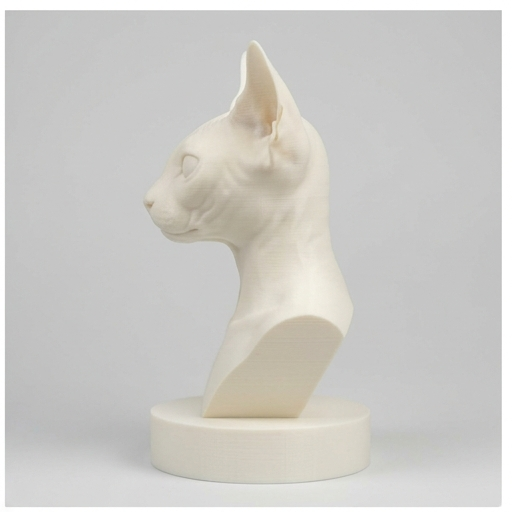 Sphynx Cat — photo 4