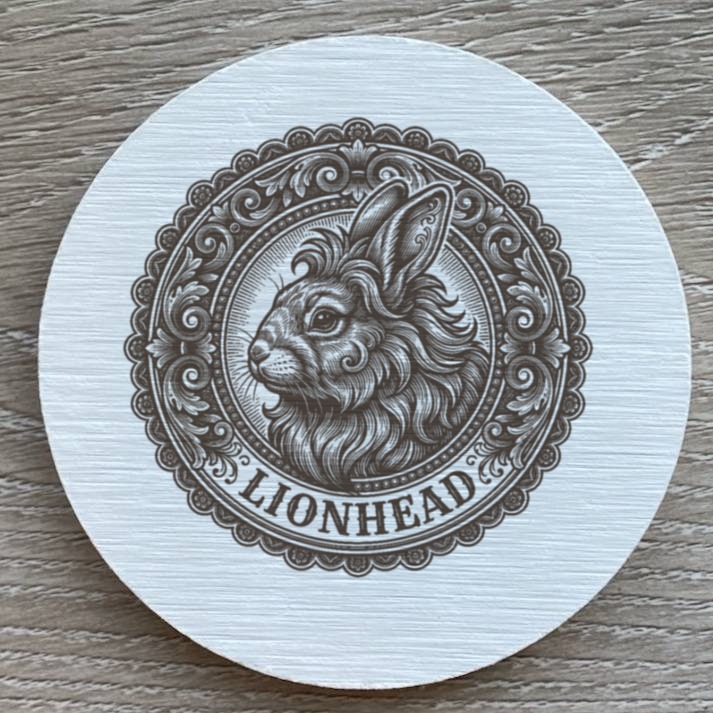 Lionhead Rabbit — photo 2
