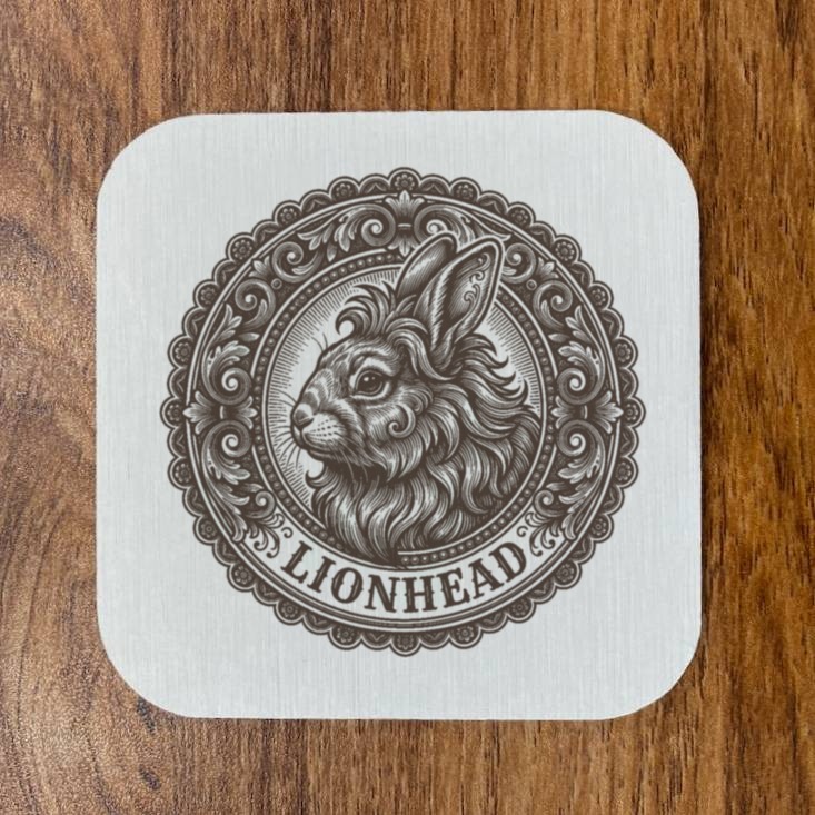 Lionhead Rabbit — photo 4