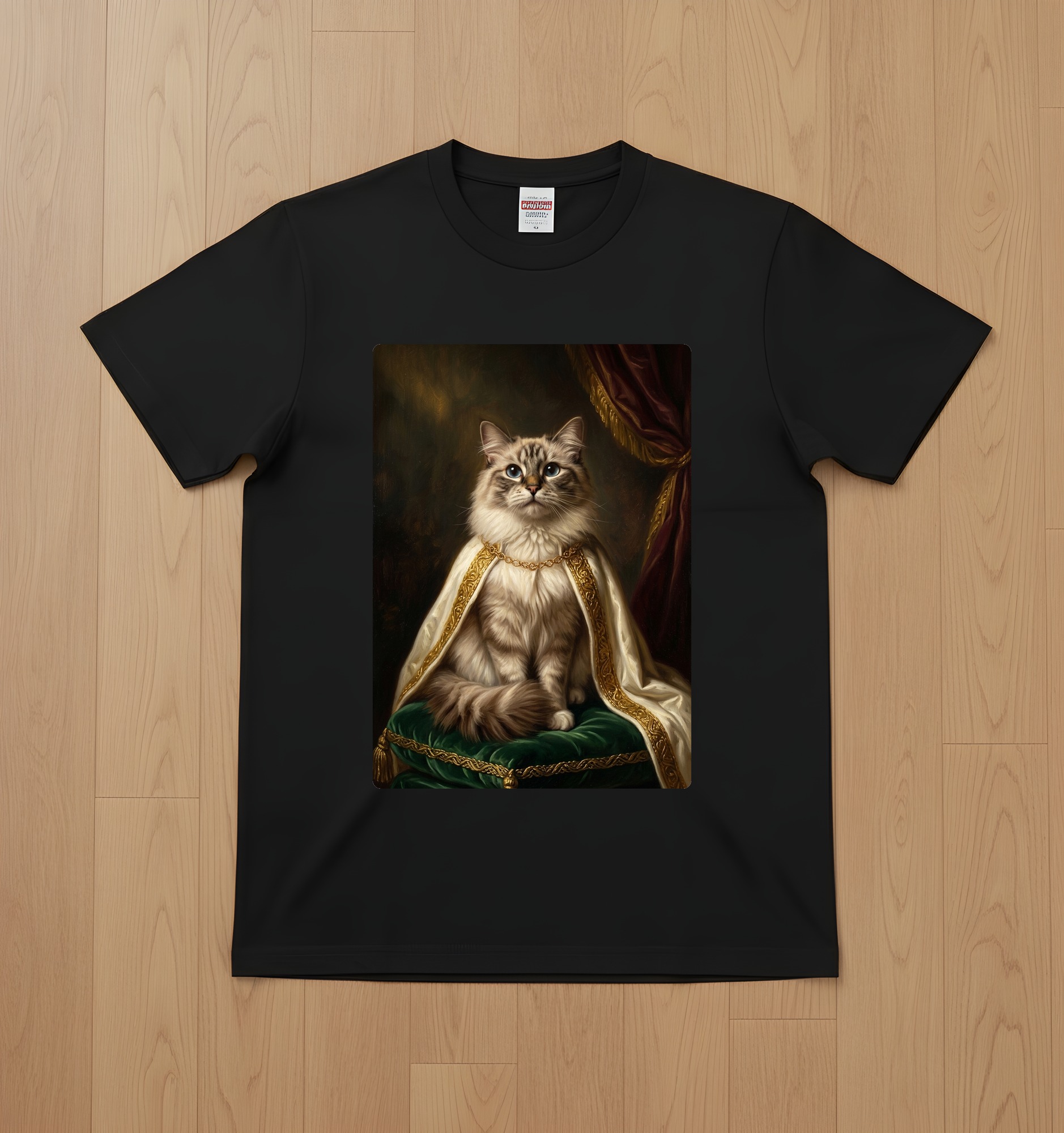 Ragdoll Cat — photo 1