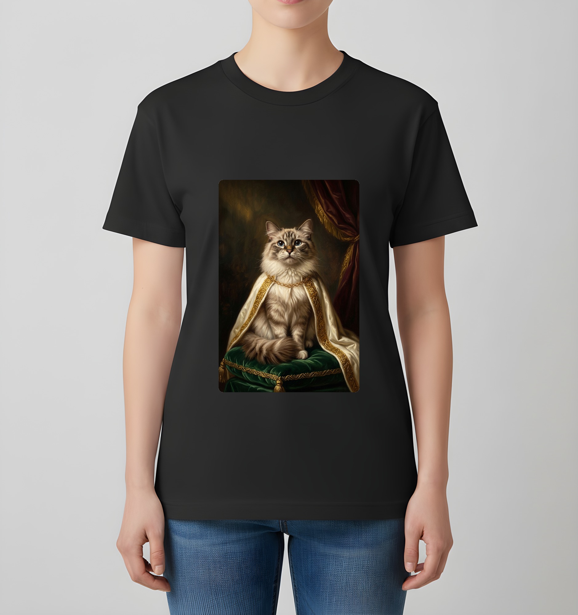 Ragdoll Cat — photo 4
