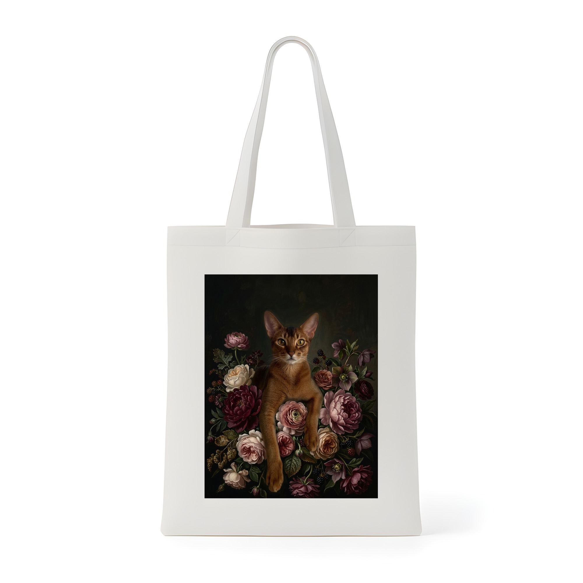 Abyssinian Cat — photo 1
