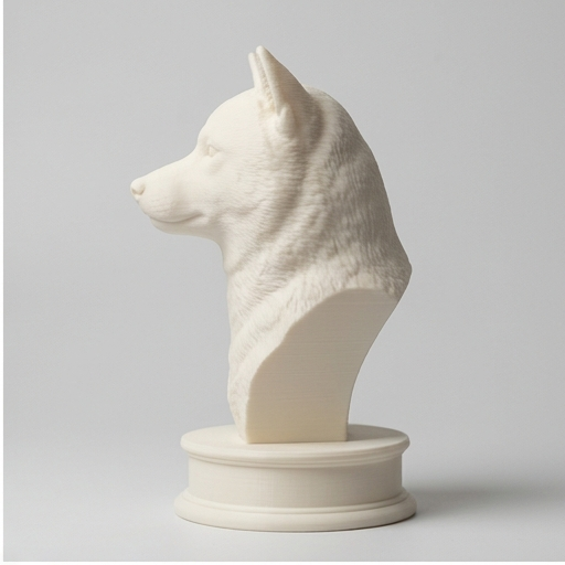 Shiba Inu Dog — photo 4