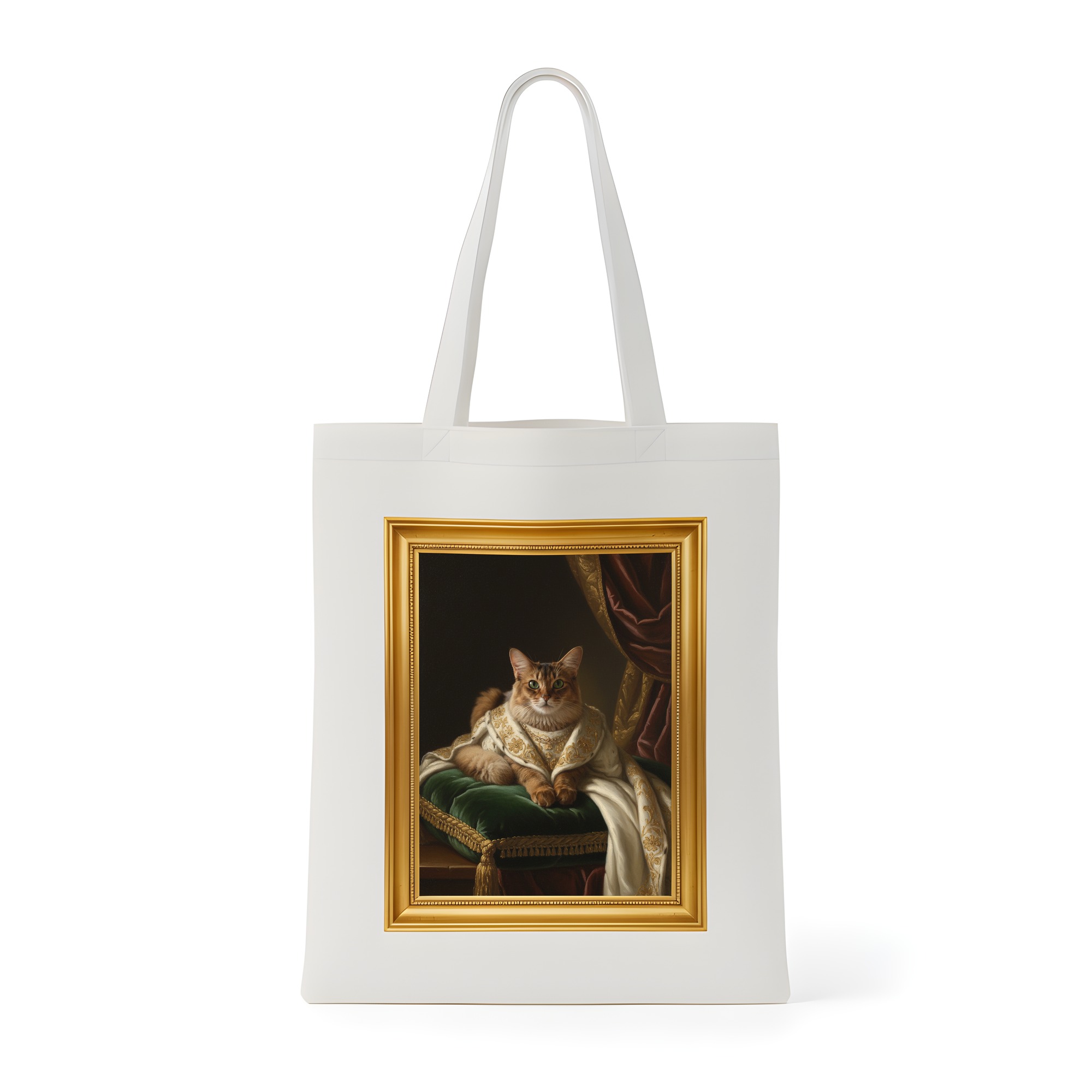 Somali Cat — photo 1