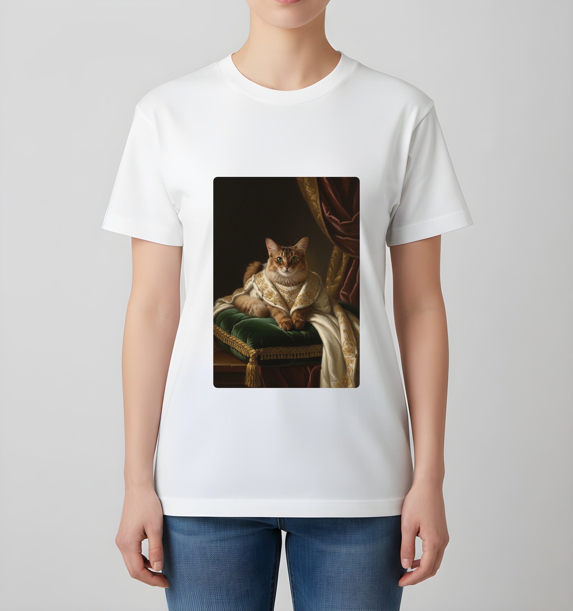 Somali Cat — photo 4