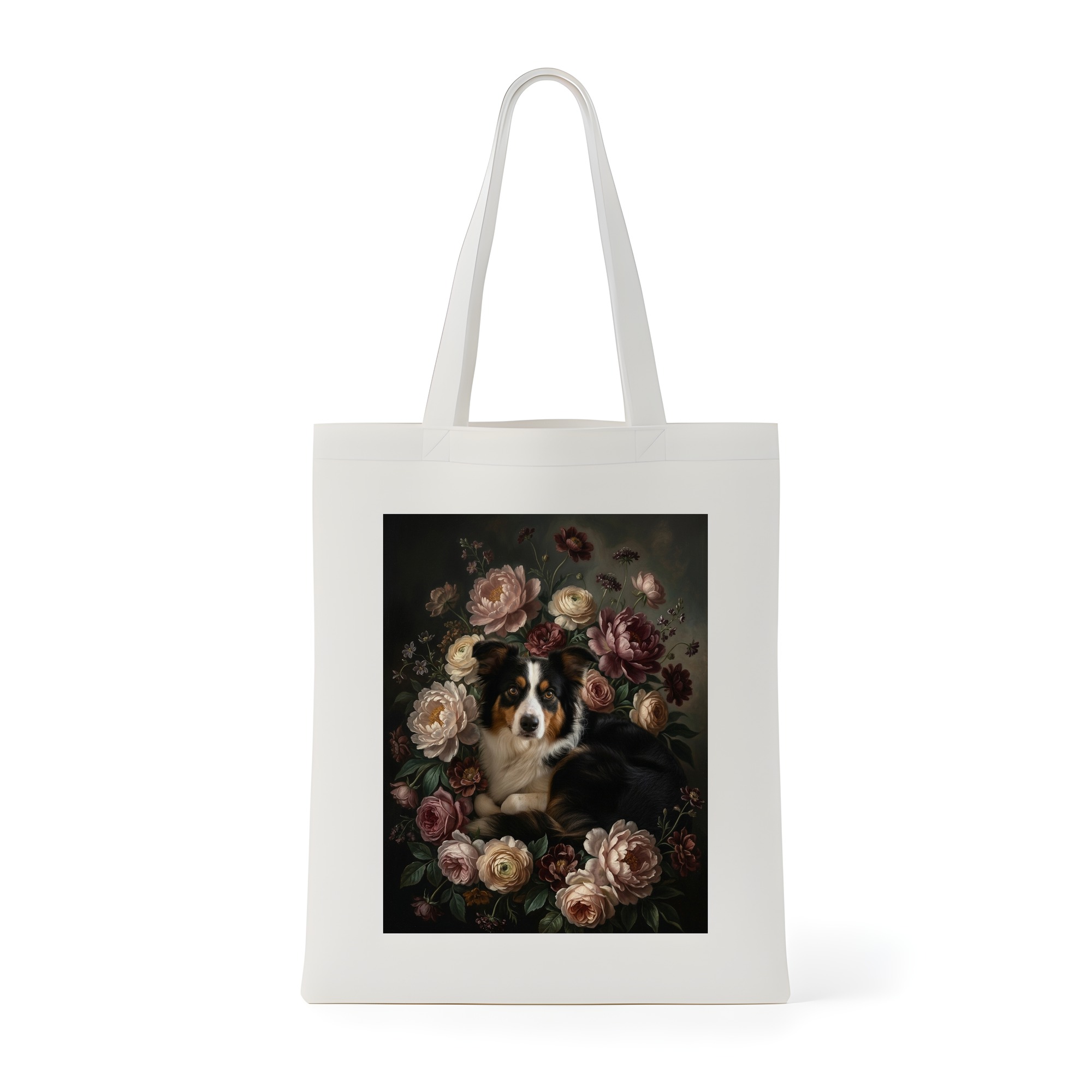 border collie Dog — photo 1
