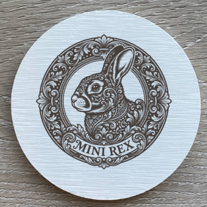 Mini Rex Rabbit — photo 2