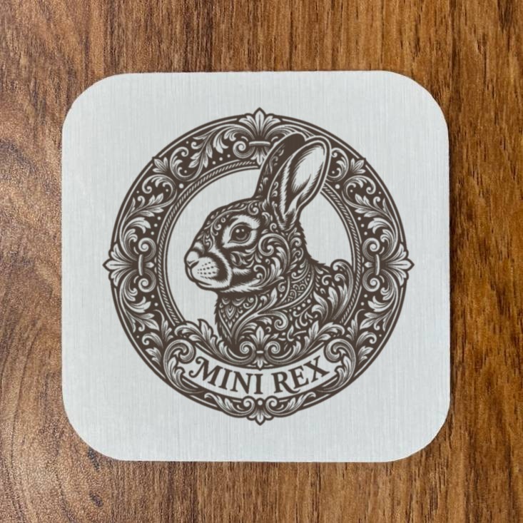 Mini Rex Rabbit — photo 4