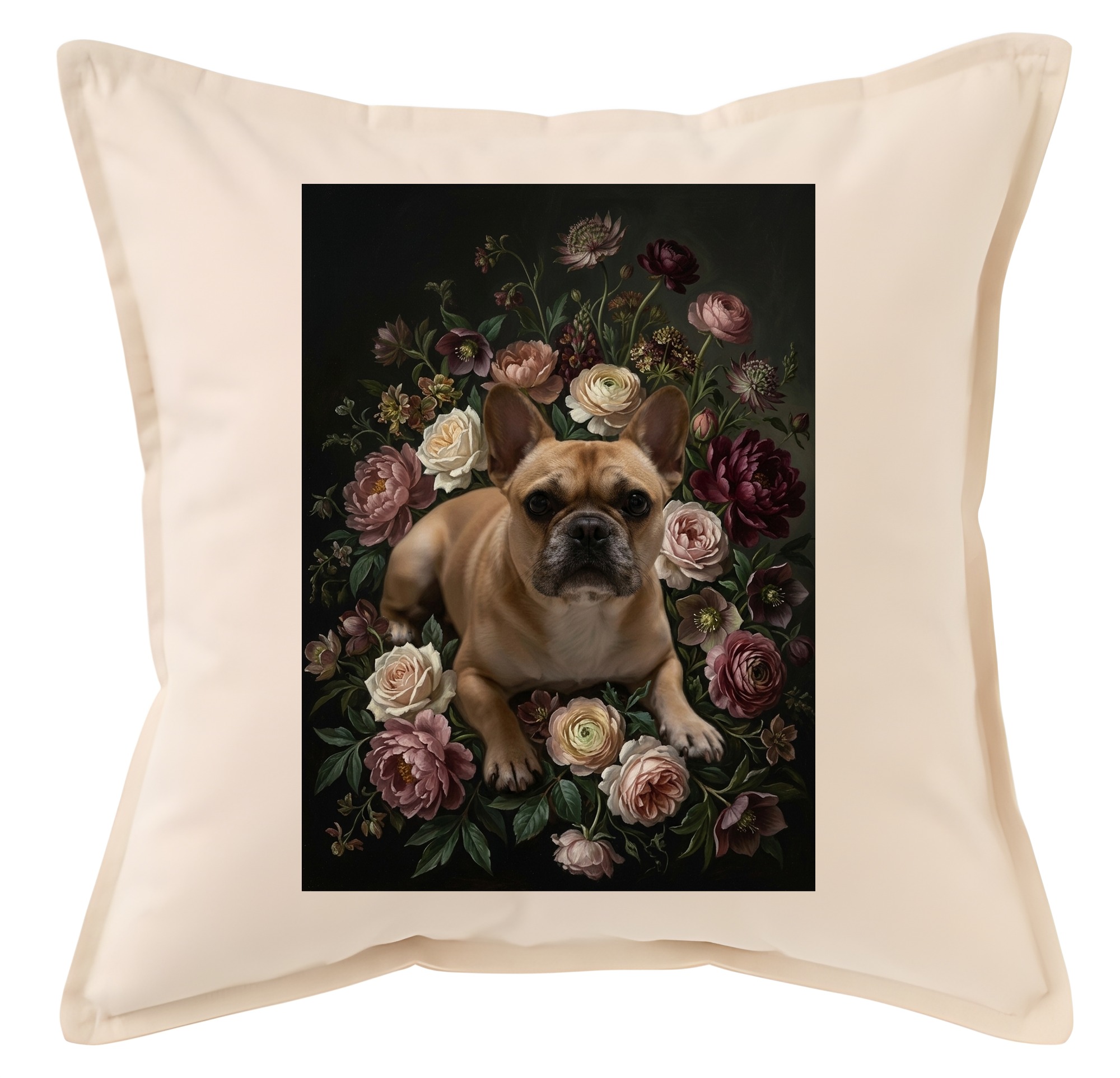 French bulldog — photo 1