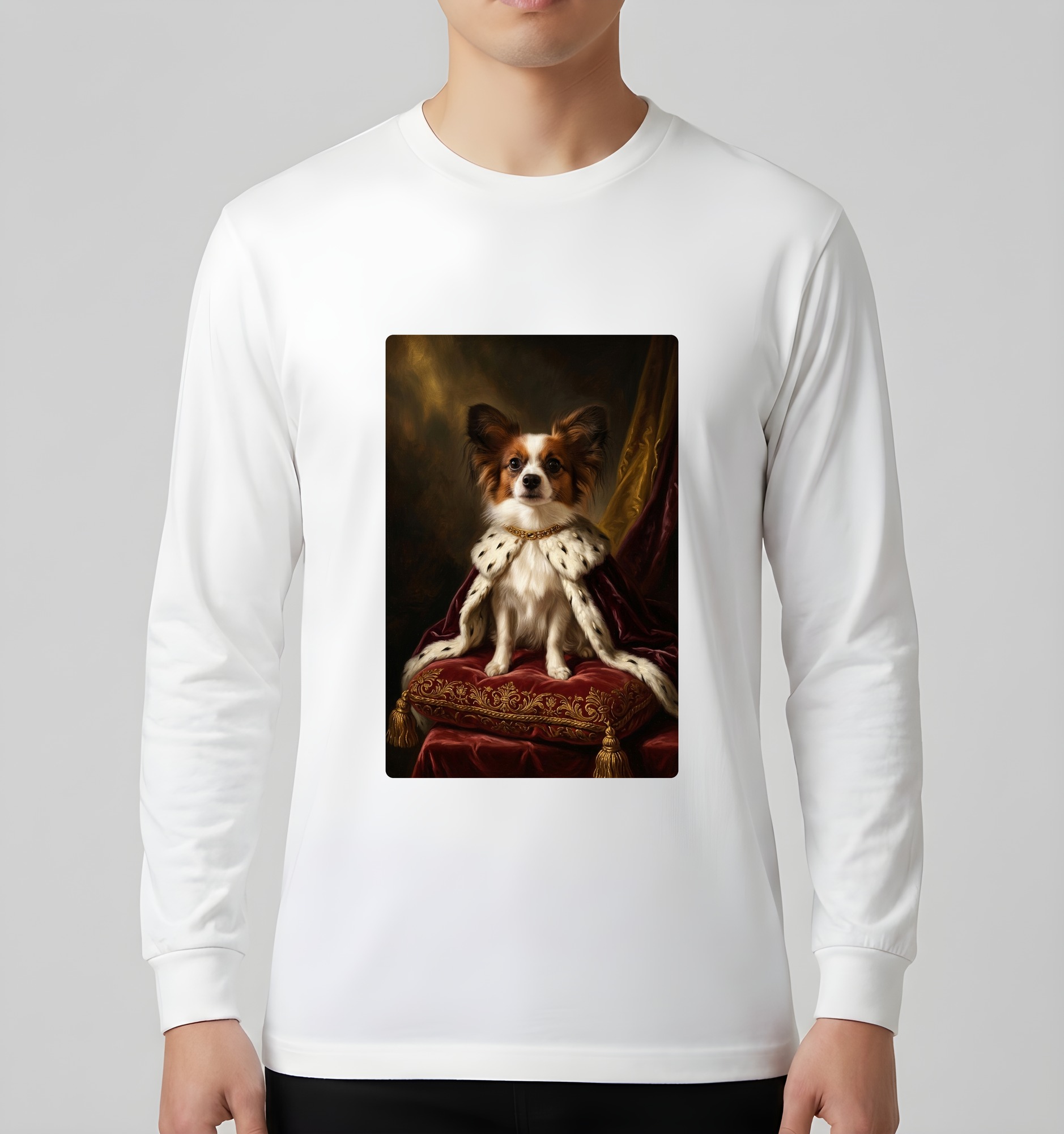 papillon Dog — photo 3