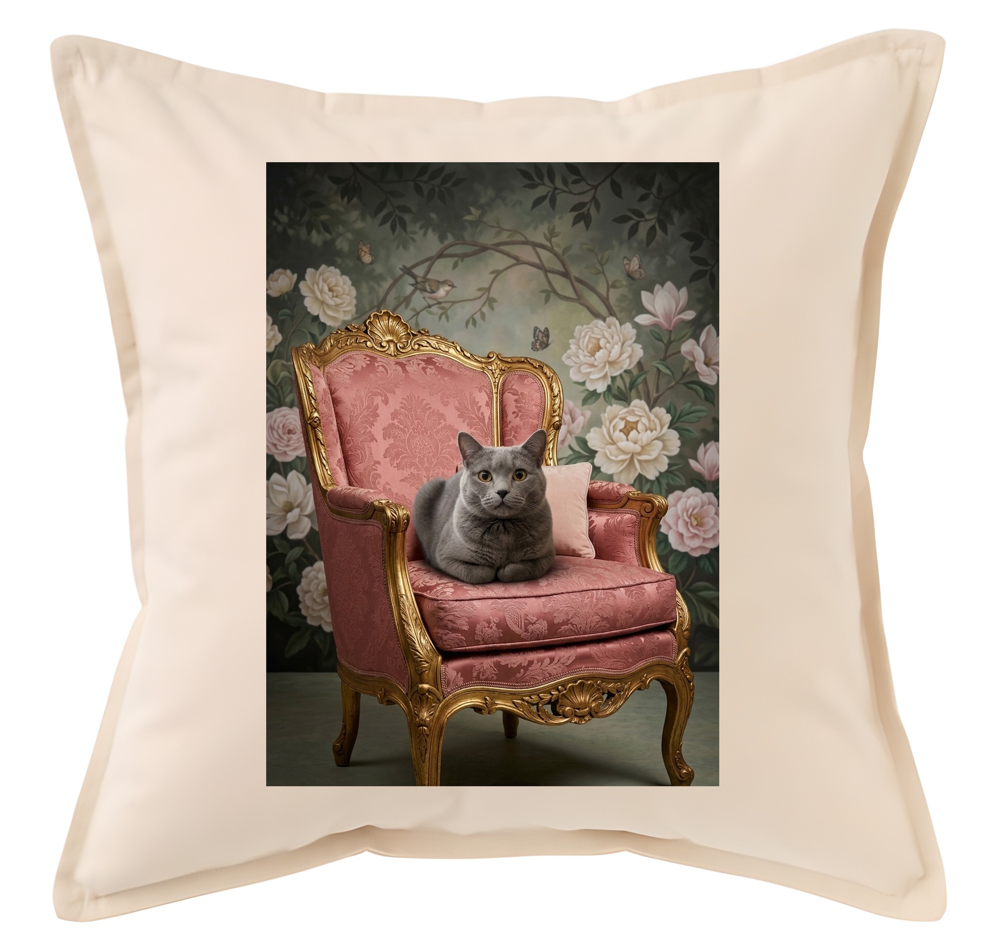 British Shorthair Cat — photo 1