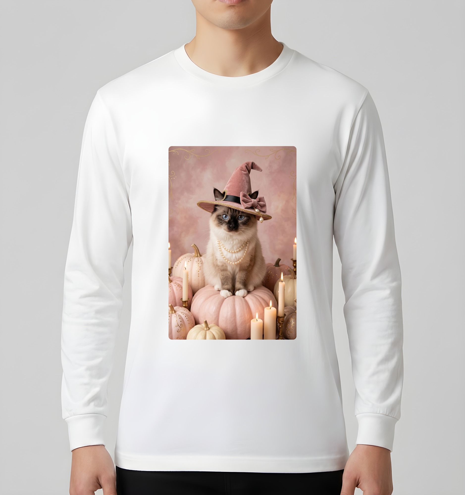 Birman Cat — photo 3
