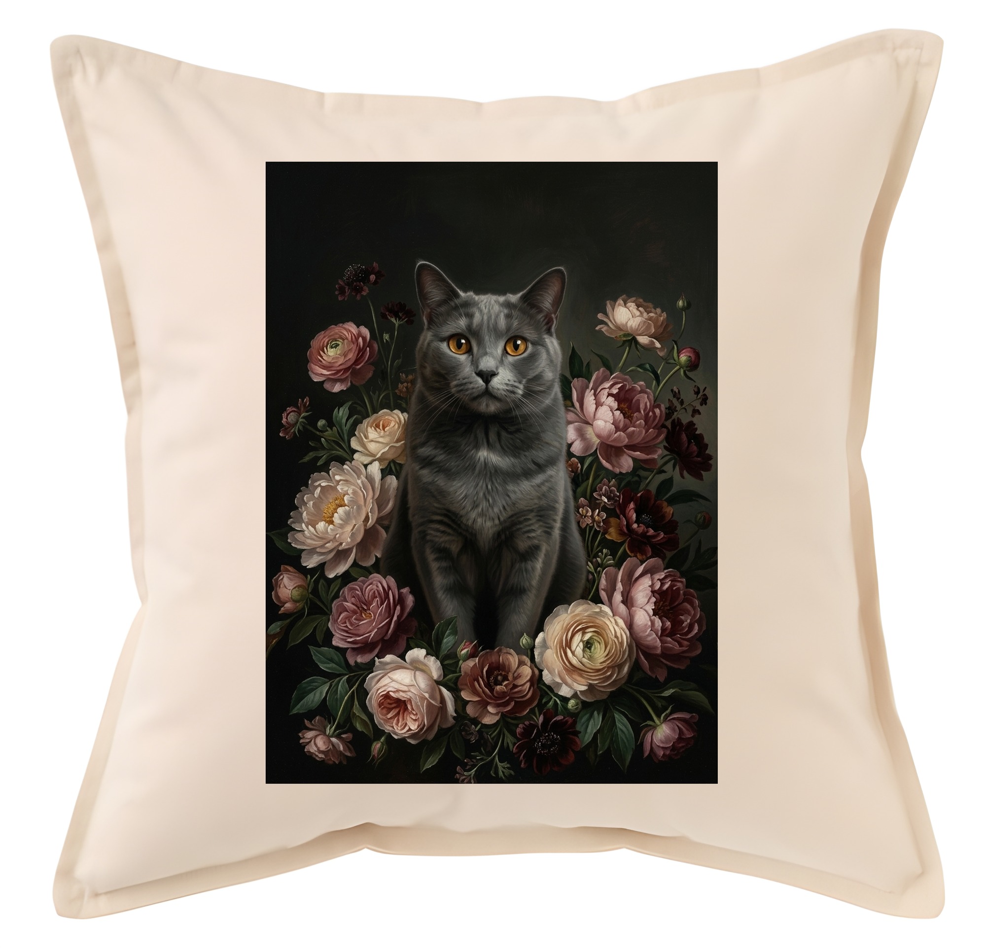 Chartreux Cat — photo 1