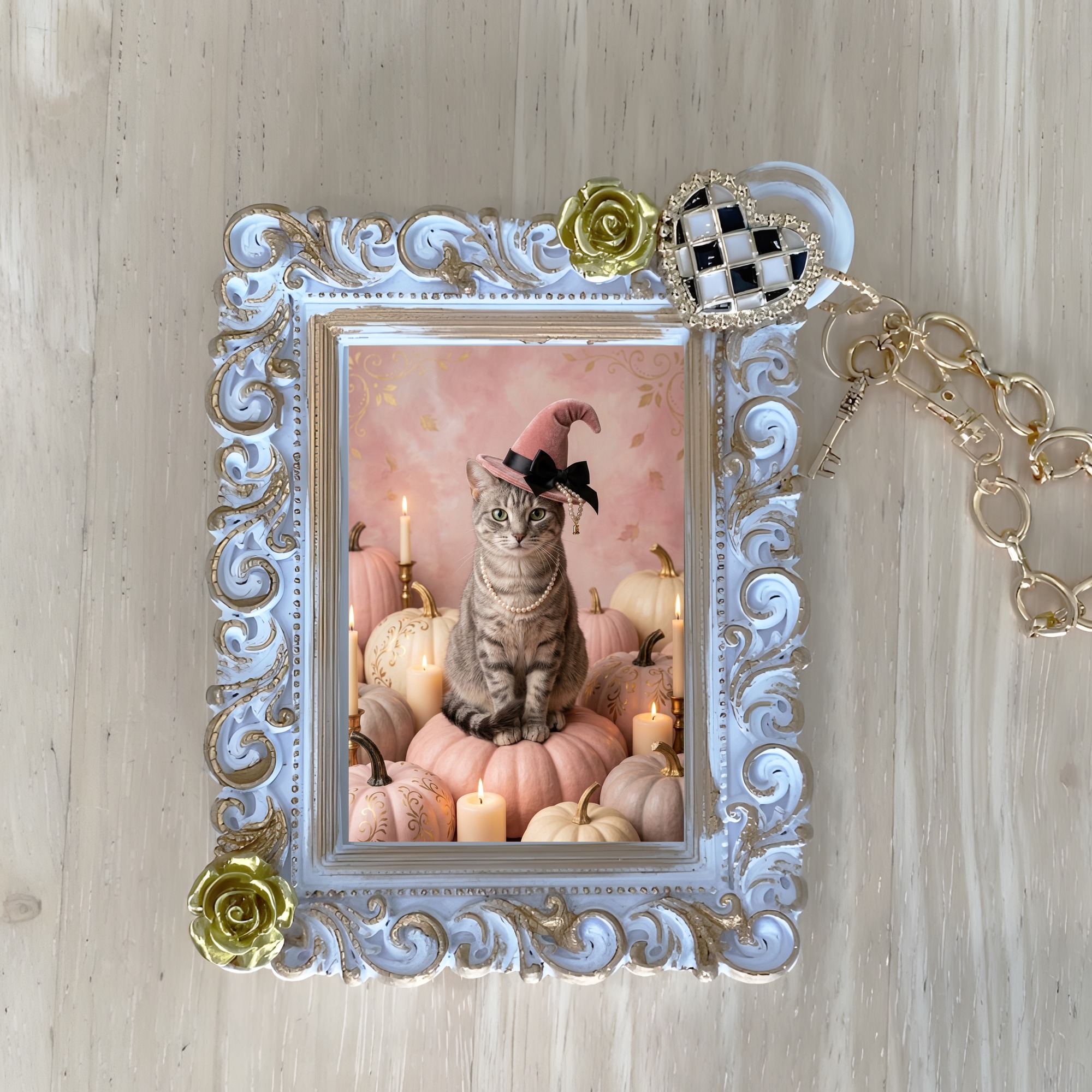 American Shorthair Cat — photo 1