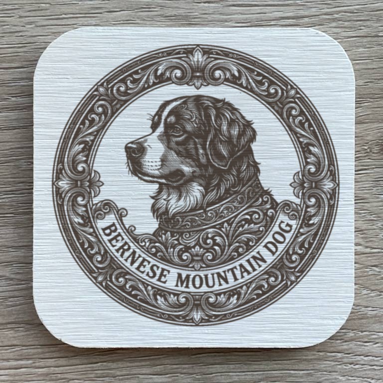 Bernese mountain dog — photo 1