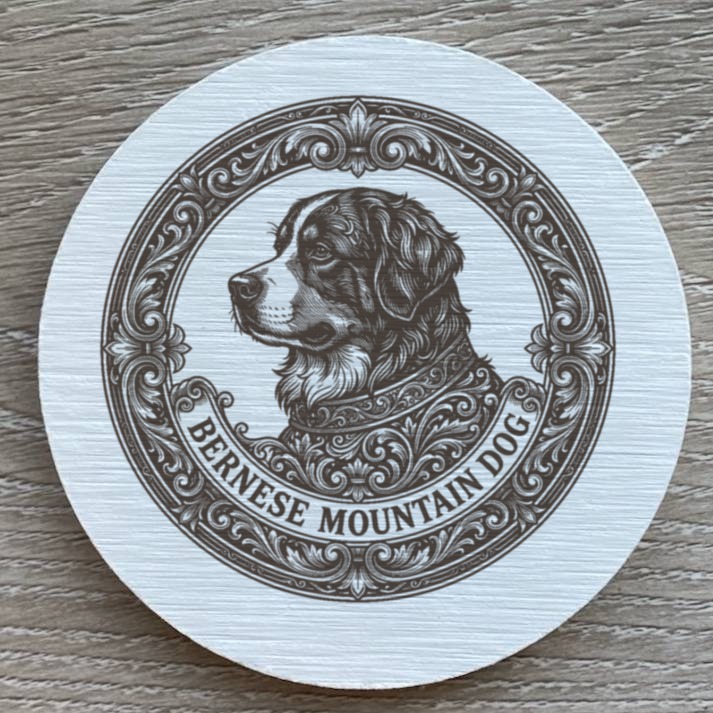 Bernese mountain dog — photo 2