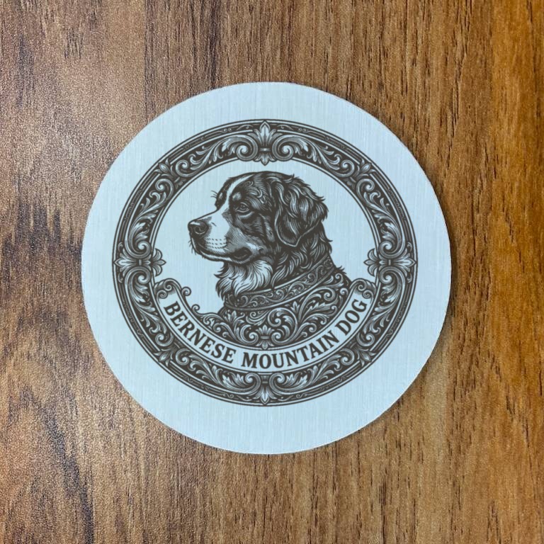 Bernese mountain dog — photo 3
