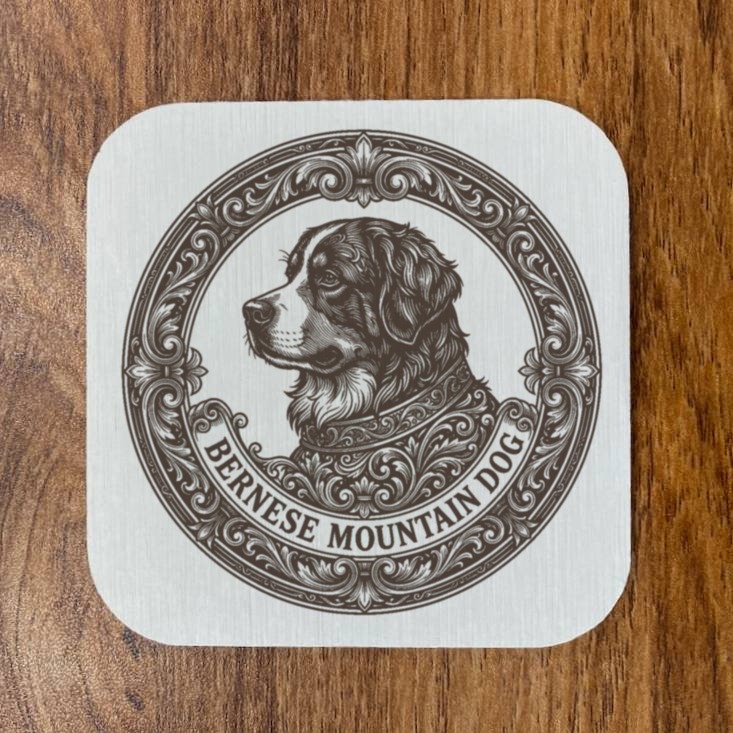 Bernese mountain dog — photo 4