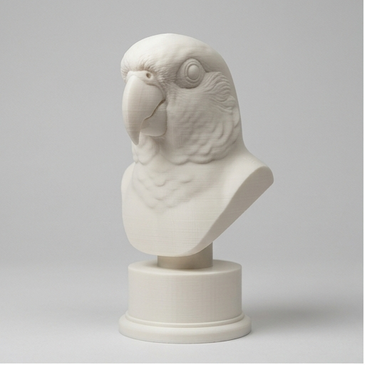 ナナイロメキシコインコのルネサンス肖像画胸像(3枚目)