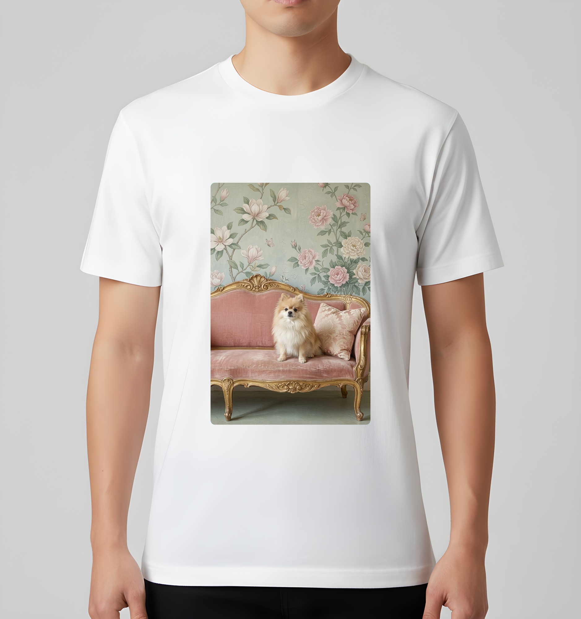 Pomeranian Dog — photo 3