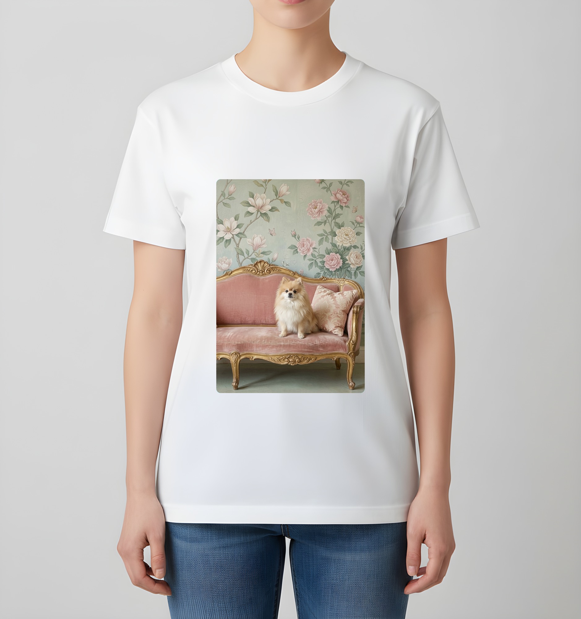 Pomeranian Dog — photo 4