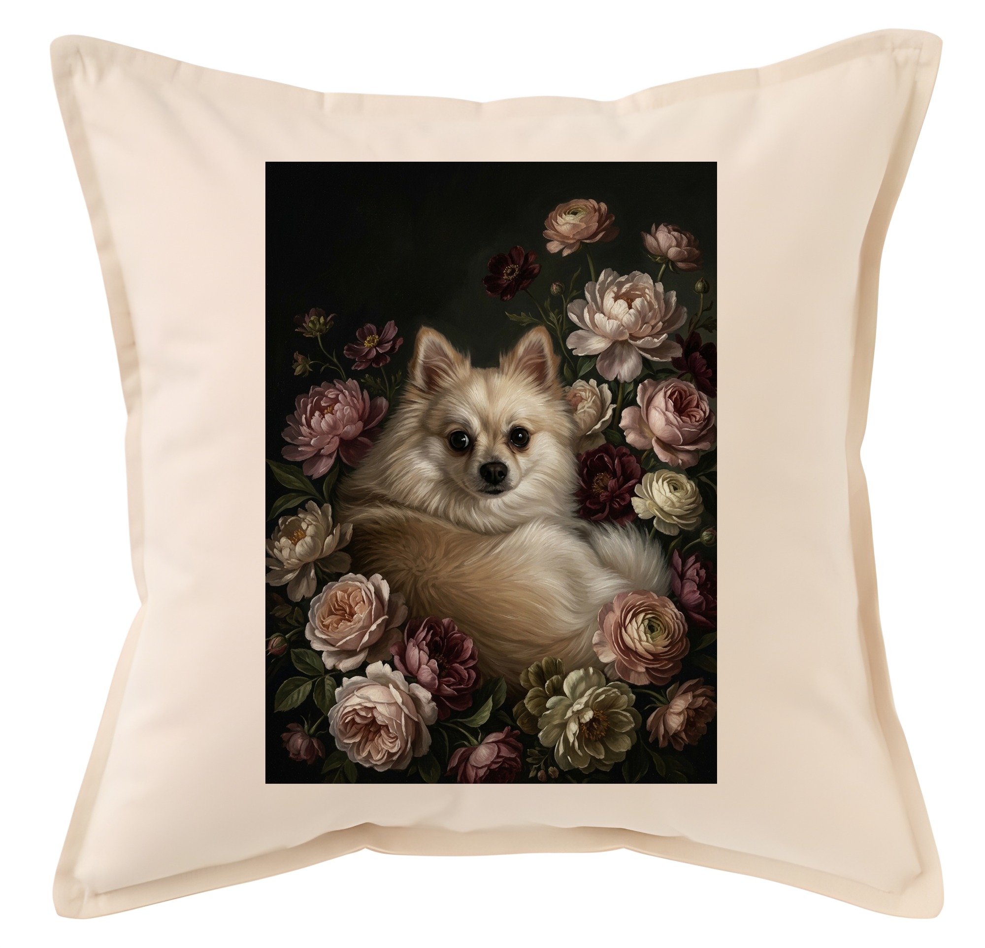 Pomeranian Dog — photo 1