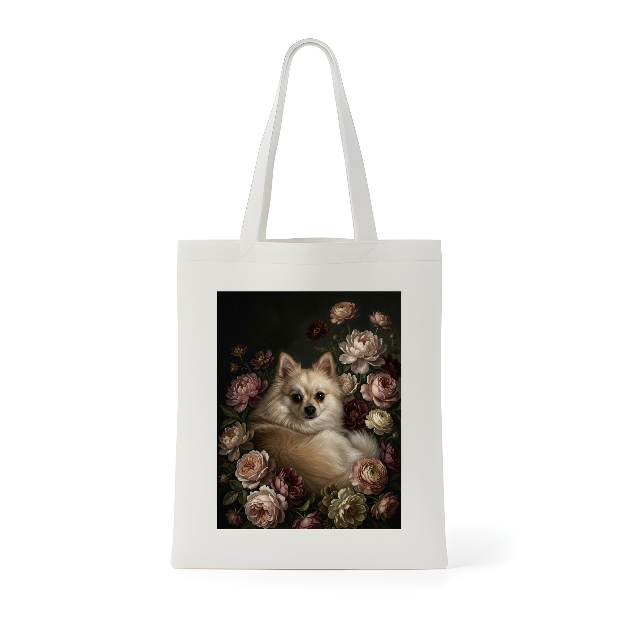 Pomeranian Dog — photo 1