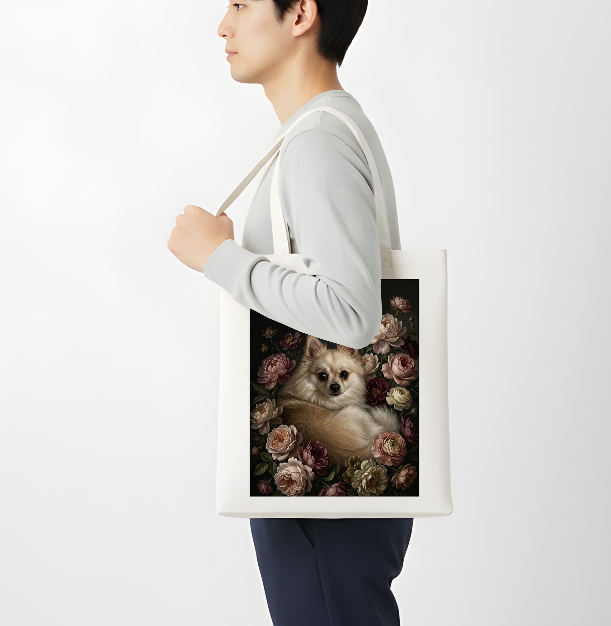 Pomeranian Dog — photo 4