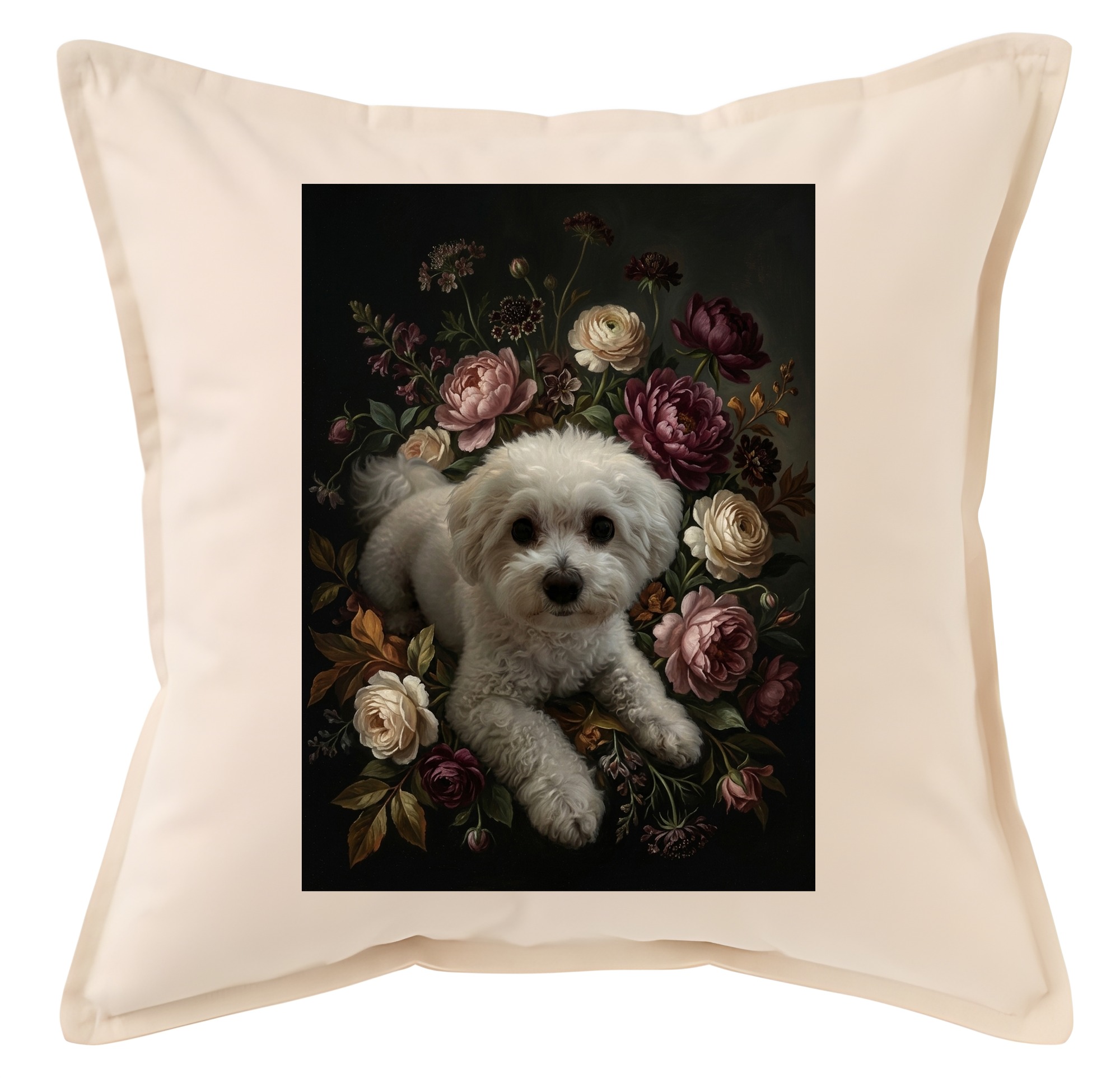 bichon frise Dog — photo 1