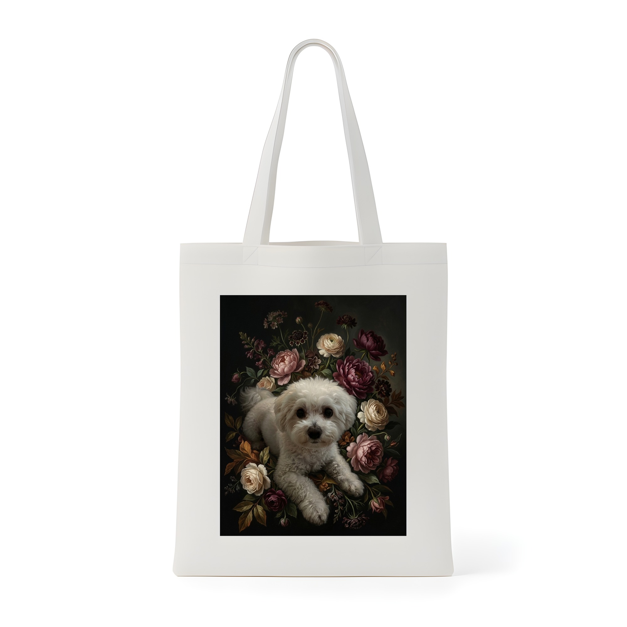 bichon frise Dog — photo 1