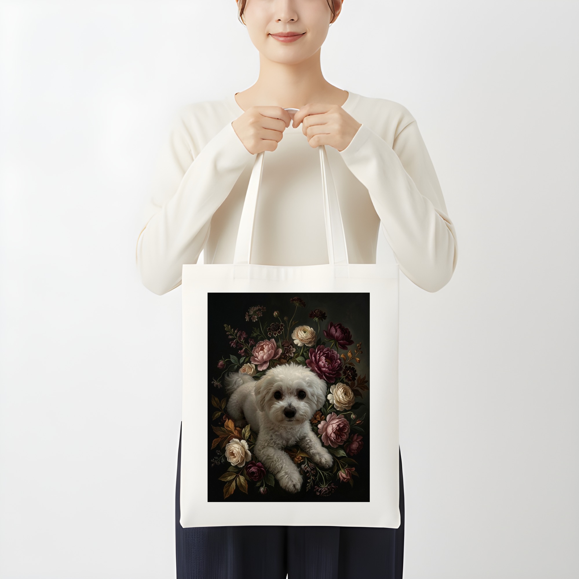bichon frise Dog — photo 3