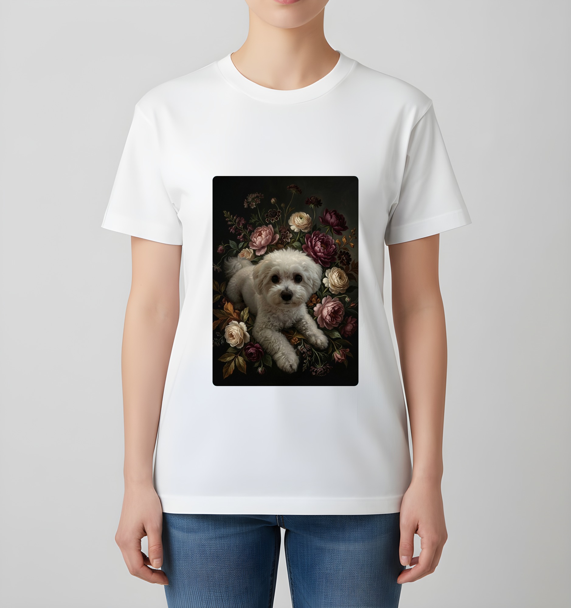 bichon frise Dog — photo 4