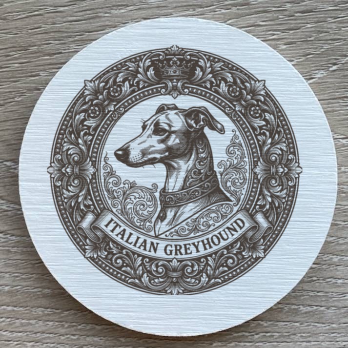 Italian greyhound Dog — photo 2
