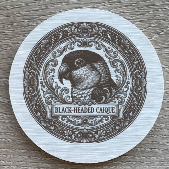 ズグロシロハラインコのルネサンス肖像画コースターセット（2枚目）